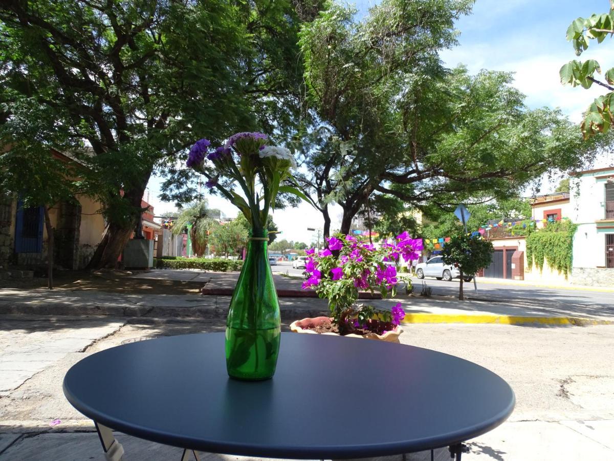 Alojamiento Jalatlaco - Car Rental! Estacionamiento En La Calle Sujeto A Disponibilidad Oaxaca 外观 照片